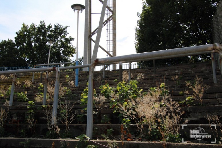 Koeln-CFC_16-17_IMG_8679