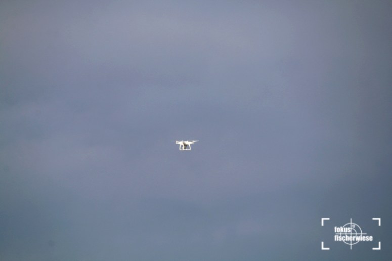 BischofwerdaerFV-CFC_18-19_51